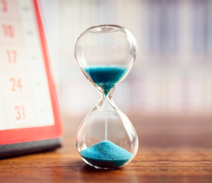 專業(yè)除蟲消毒公司