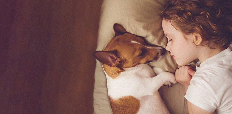 北京專業(yè)消毒公司哪家好