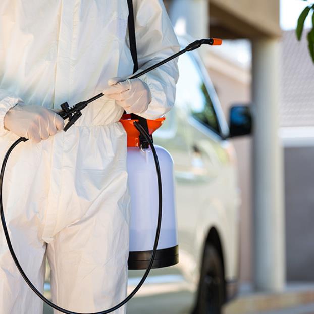 消毒殺蟲公司：哪些操作能夠解決食品廠蟲害問題？