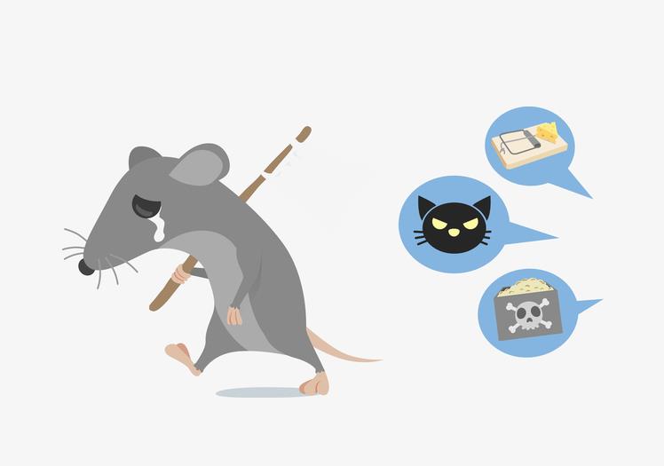 春季朝陽(yáng)區(qū)滅鼠常用什么藥？有哪些注意事項(xiàng)？